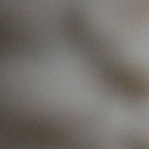 Meet your Posher, Elsa